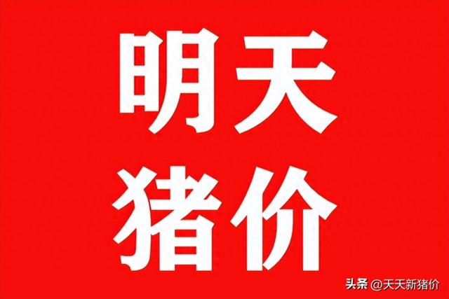 12月23日全国生猪价格多地上涨，年前猪价走势如何？